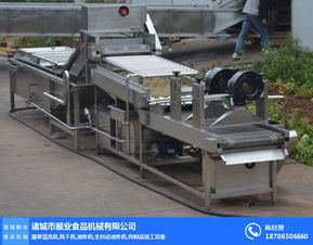 青椒清洗流水線哪家好 順業食品機械 黑龍江青椒清洗流水線